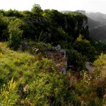 Panorama Pur