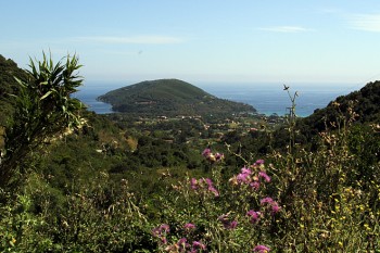 Von wegen karge Insel. Auf Elba regiert die mediterrane Macchia.