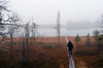 Nordlandtrekking: Die typischen Holzbretter sind angesichts der Kälte teilweise vereist. Wir müssen aufpassen. | Foto: Hendrik Morkel