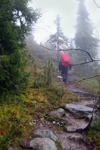 Nebel und Nieselregen: Das Wetter könnte herbstlicher nicht sein und dennoch behält der Karhunkierros zu jeder Jahreszeit seinen Reiz. | Foto: Hendrik Morkel
