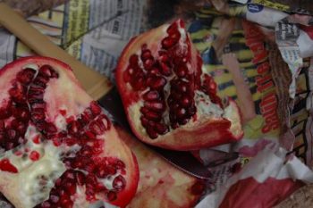 Kletter-Früchstück: Granatäfel sind die ultimativen Vitaminbomben für einen guten Start in den Tag. | Foto: Chiara Hanke