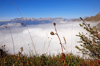 Oben strahlend blauer Himmel, unten unendliches Wolkenmeer - wir können uns kaum sattsehen am Bergpanorama.