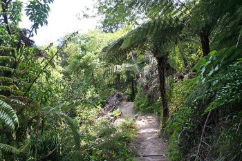 Unterwegs auf dem Abel Tasman Coast Track. Wir scheinen die einzigen Menschen zu sein inmitten einer unberührt wirkenden Natur. Da kommt Abenteuer-Feeling auf! | Foto: Kirstin Schuchardt