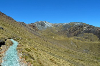 Am zweiten Tag führt der Weg hinauf Richtung Mount Luxmore. War es auf der Hütte noch voll, so trifft man unterwegs auf dem Kepler Track kaum noch jemanden. | Foto: Archiv Schuchardt