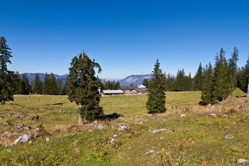Erst kurbeln, dann Almgenuss: Die mittelschwere Mountainbike-Tour zur Kühroint-Alm ist schon ab Mai möglich. | Foto: Berchtesgadener Land Tourismus