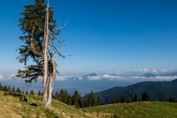 MTB-Runde am Aufacker in den Ammergauer Alpen: Panorama vom Stierkopf oberhalb der Drei Marken übers Oberland. | Foto: Franz Mösbauer