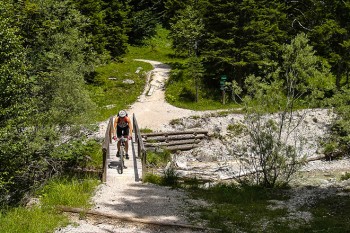 Leichte Trailpassagen sorgen bei der MTB-Runde um Mittenwald für Abwechslung.| Foto: Franz Mösbauer