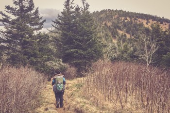 Aufstieg zum Clingmans Dome (2.025 m) in den Great Smoky Mountains - dem höchsten Punkt auf dem Appalachian Trail. | Foto: Feel4Nature