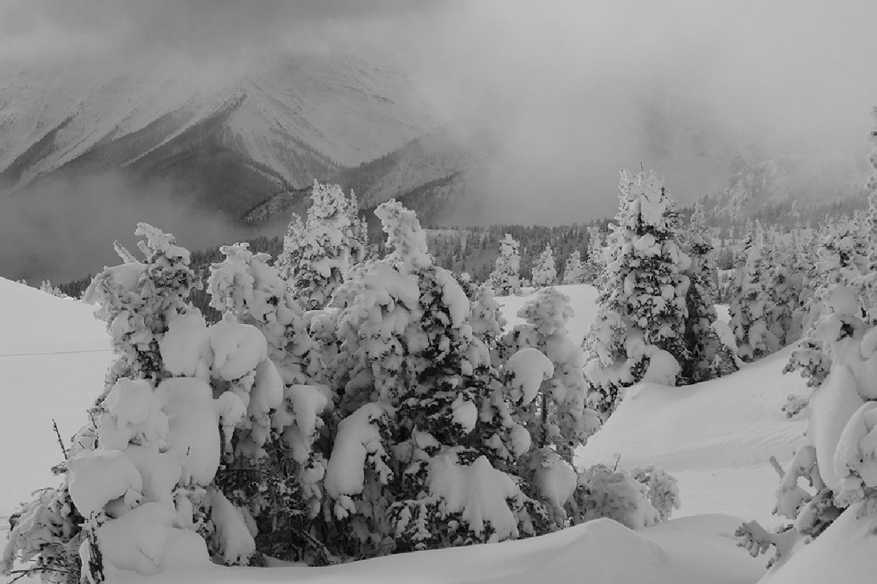Powdertage in Kanada - wenn man Glück hat. | Foto: Basti Fiedler