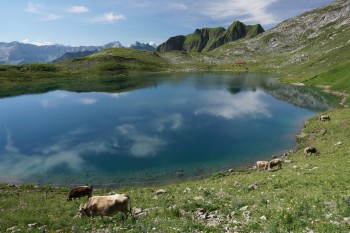 Der Engeratsgundsee liegt auf 1.876 Meter Höhe in den Allgäuer Alpen. | Foto: Bad Hindelang Tourismus/Wolfgang B. Kleiner