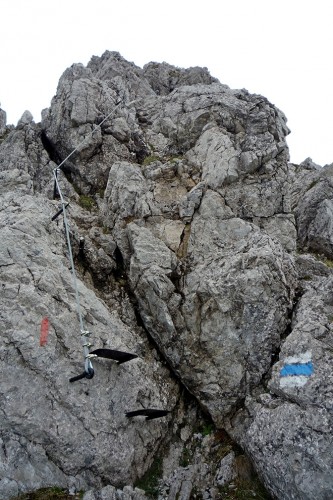 An exponierten Stellen des kleinen Klettersteiges "Hohe G&auml;nge" wurden Drahtseile und/oder Trittleitern angebracht. | Foto: Julia Gebauer