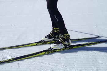 Dank Air Core Carbonlite-Kern ist der Skate H-Plus Ski von Fischer ein echtes Leichtgewicht. Die spezielle Carbonfaser-Konstruktion stellt ausreichende Steifigkeit und Belastbarkeit sicher. | Foto: Eva Eder