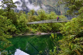 Die Ausrüstung sollte unbedingt an die geplante Tour angepasst sein. Wie hier auf dem Milford Track ist beispielsweise mit Regen und Feuchtigkeit zu rechnen. | Foto: Tourism New Zealand