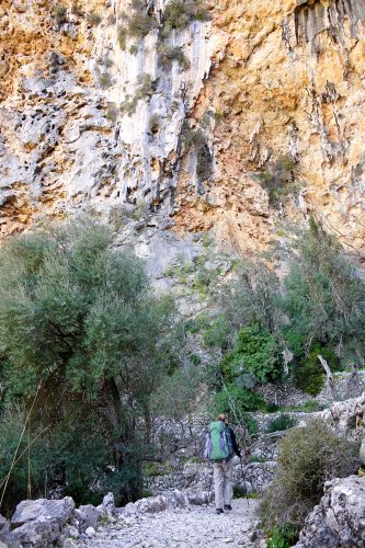 Abstieg durch die Schlucht Barrancs de Biniaraix in das Orangental von S&oacute;ller. | Foto: Sebastian Krejci
