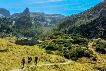 Rund um das Kärlingerhaus und den Funtensee pfeifen die Murmeltiere. Die Wahrscheinlichkeit, dass man sie zu Gesicht bekommt, ist recht hoch. | Foto: Steinacher/Werntgen