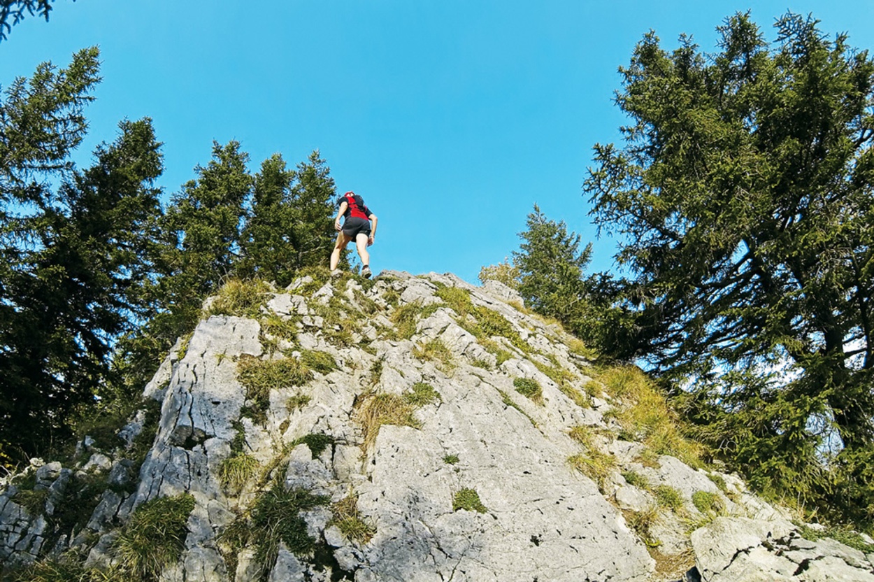 &Uuml;berflieger - die letzten Meter &uuml;ber eine Felsstufe hinauf zum Gipfel der Rampoldplatte. | Foto: Purucker/Reichart