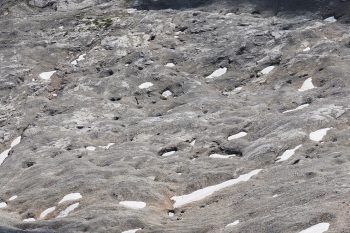 Das Leutascher Platt ist ein karges Kalk-Plateau. | Foto: Arnold Zimprich