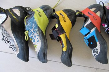 Miura, Kataki, Skwama, Otaki (vlnr.) - der Kataki im Kreis seiner Kollegen. | Foto: Heli Kotter