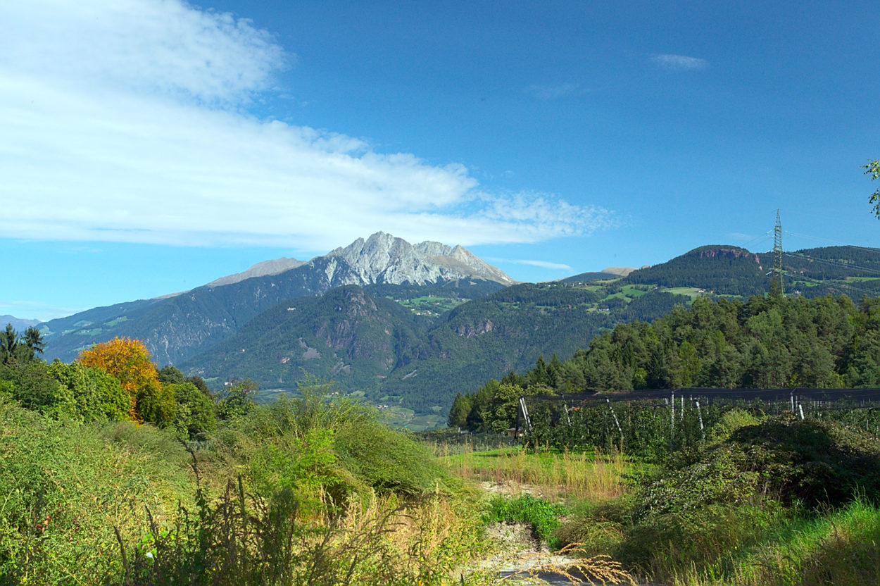 Die Wanderrunde über Lana bietet immer wieder fabelhafte Ausblick auf den Hausberg Merans, den Ifinger. | Foto: Sabine Dettling