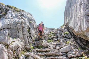 Das Steinerne Meer macht seinem Namen alle Ehre. Oft wundert man sich, wie Pflanzen in der kargen Landschaft überleben können. | Foto: Renate Steinacher und Christoph Werntgen