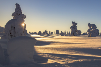 Verr&auml;terische Sch&ouml;nheit: Wer die Augen im Schnee nicht ausreichend vor der Sonne sch&uuml;tzt, riskiert Augensch&auml;den bis hin zur Schneeblindheit. | Foto: Pixabay