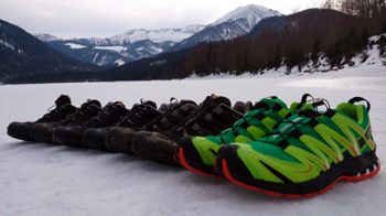Die Salomon XA Pro 3D GTX in freier Wildbahn. Echte Alleskönner! | Foto: Holger Stark