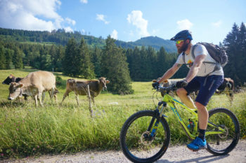 Mann auf Bike mit bike & hike Schuh