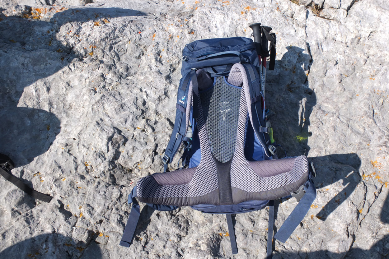 Tragesystem des Deuter Futura Pro im Test.