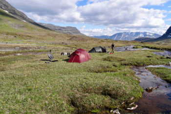 Zwei Zelte auf einer Wiese neben einem Fluss im norwegischen Fjell.