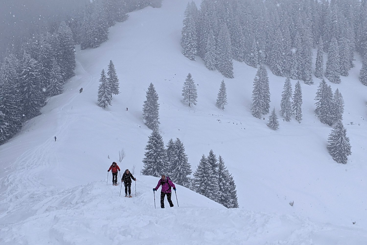 Drei Schneeschuhgeher im steilen, starkt verschneiten Gelände im Tiefschnee.