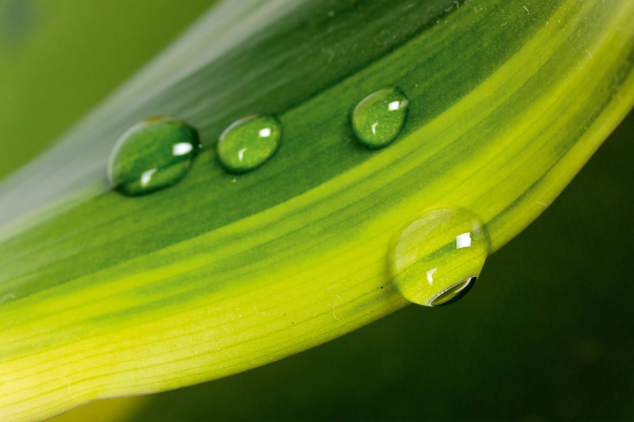 Green Shape ist eine erfolgreiche Initiative von Vaude. | Foto: Vaude