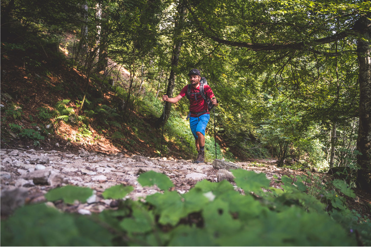 Wanderer auf Waldweg in den Dolomiten