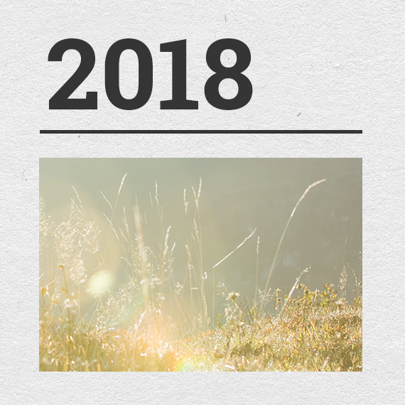 2018 2018